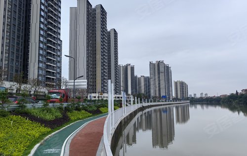 碧桂園天悅灣看看文海河邊的綠道想象一下入住後下樓散步的情景