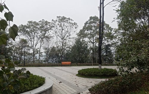 项目边上公园风景