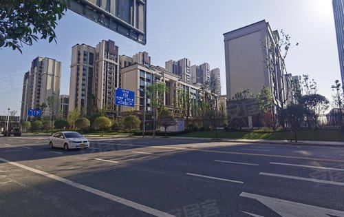 城投置地梧桐栖动态:小区绿化好,楼间距开阔-成都安居客