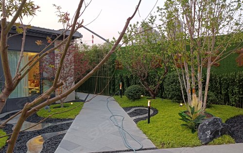 小区绿化景观一角,仅供参考!