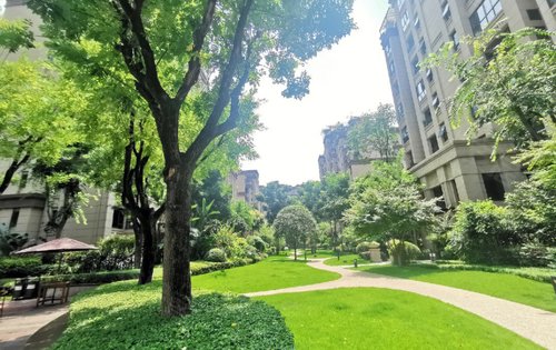 龙湖交付小区绿化景观一览感兴趣的可以点击右上角咨询哦