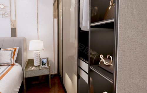 79次卧衣帽间,详细微聊我吧