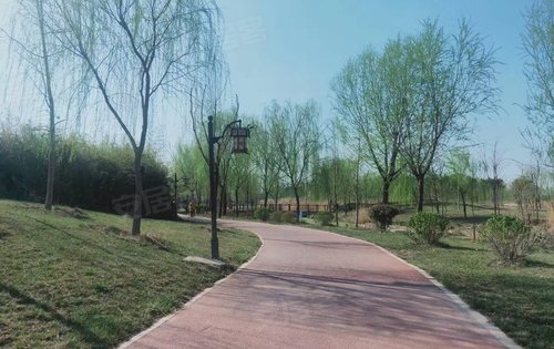 悦府小区对过的周公河湿地公园日常遛弯的好去处