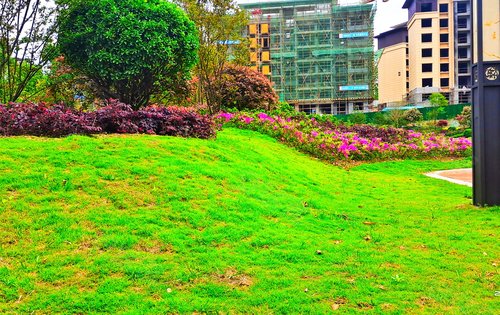 社区配套绿化景观信阳美好生活家园楼盘点评(40)8773在线咨询2021