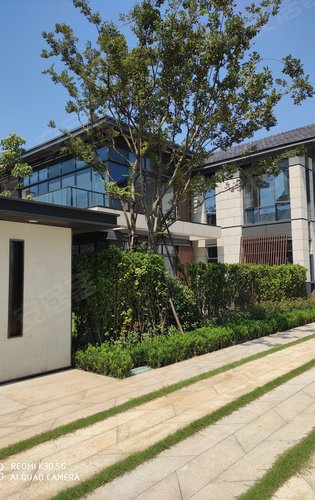 鲁能泰山9号动态:盛泽湖湖景别墅520万起需要的联系我-苏州安居客