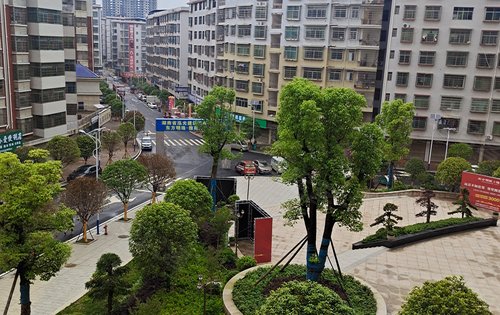 小区的入口广场