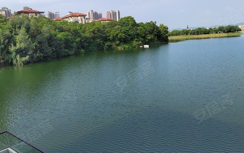 星河明珠湾业独享的1200亩寒妈湖