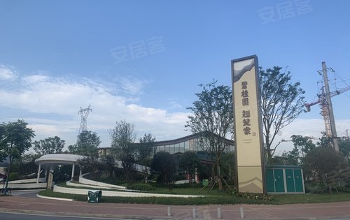 隆回碧桂园·翘楚棠