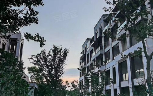 离离暑云散 袅袅凉风起 公元2040二期叠墅金地,融创,招商三大开发商