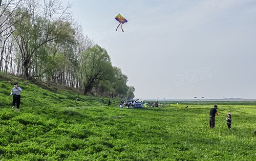 府河湿地公园图片图片