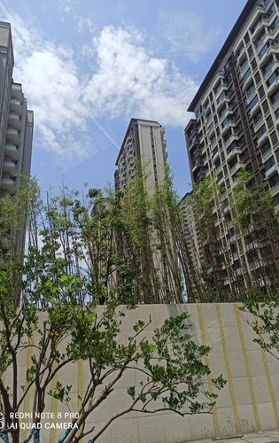 禹洲郎溪上里动态:小区内一角,绿化景观还是非常不错的-合肥安居客