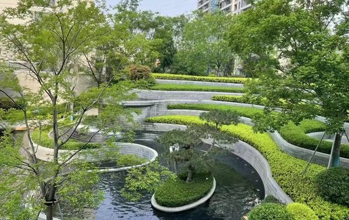 小区绿化实景呈现