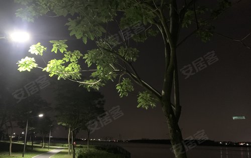 滨江公园的夜景,步行300米