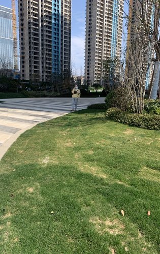 一期小区绿色草坪社区配套绿化景观禹洲朗廷元著楼盘点评(2100)