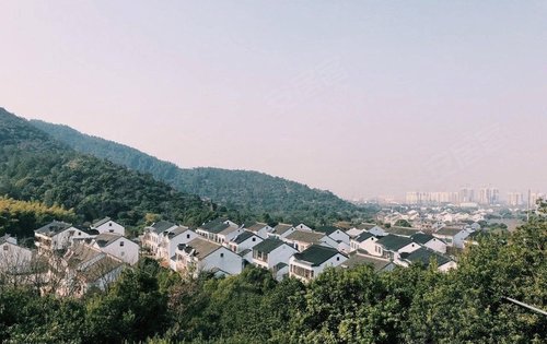 山野意趣濃 ,樹山生態村