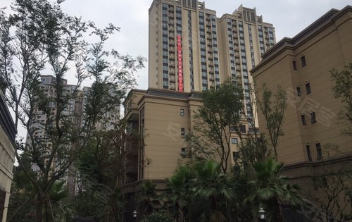 成都楼盘 龙泉驿楼盘 龙泉驿楼盘 天悦龙栖台 楼盘动态