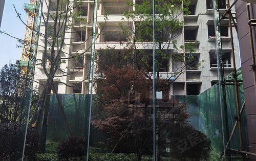 龙腾御锦城已部分呈现欢迎大家咨询