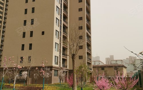 玉秀湾·唐郡动态:玉秀湾小区,桃花樱花朵朵开.-临汾安居客