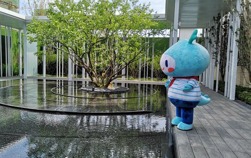 龙湖·春江悦茗动态:龙小湖探班春江悦茗-天津安居客