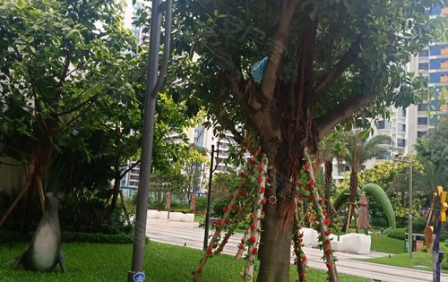 碧桂园银滩花园