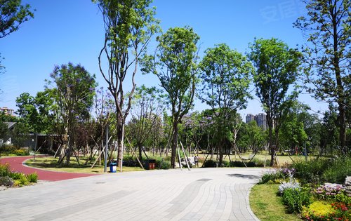 項目出門就是泥巴沱森林公園和毗河!環境優美!歡迎諮詢!