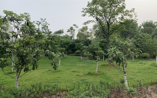 湾郡北岸公馆动态:低密社区,紧邻韵湖湿地公园,叠拼别墅153-214平米.