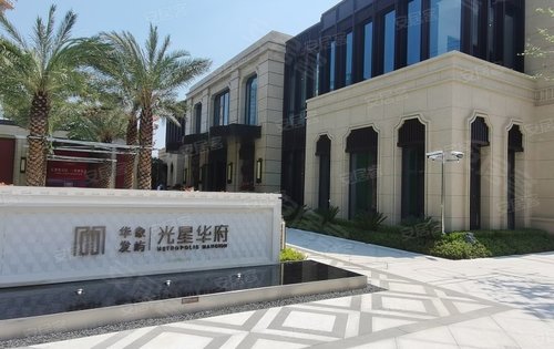 经典大都会风情光星华府