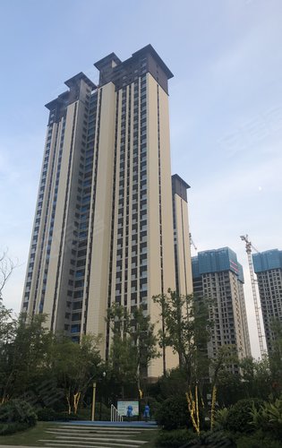 领创大地城动态:领创大地城项目每日工程播报-平顶山安居客