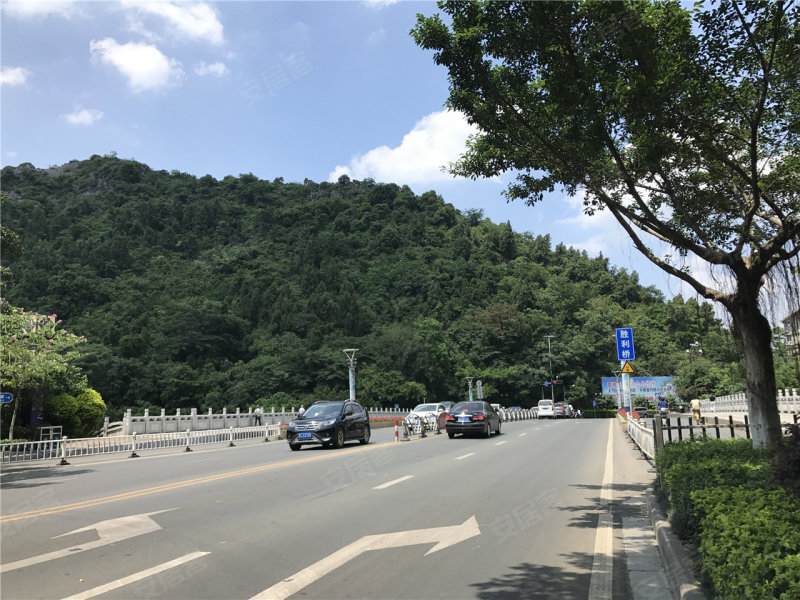 金鼎山水华府