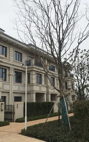 山海观动态:联排别墅外景-武汉安居客