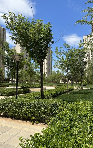 东方丽城动态:小区绿化实拍,现房带车位,看房认准开发商销售-北京安居