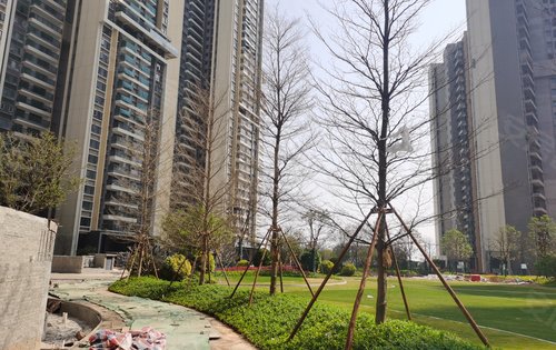 亚运城天珑小区花园和楼栋外立面实拍