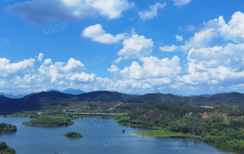 凤岗世城悦湖 抬头可见蓝天白云,低头满眼青山碧水