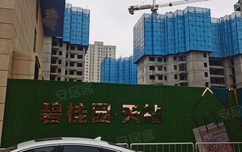 碧桂园天钻动态:碧桂园天钻你那么美,你知道吗-商丘安居客