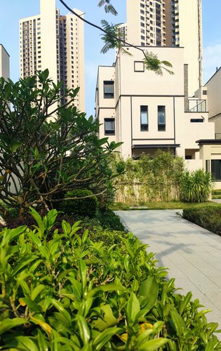佳兆业东江新城动态:【东江新城】#小区环境优美,有153平米合院别墅在