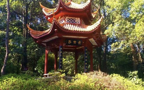 南郊公园省府绿肺