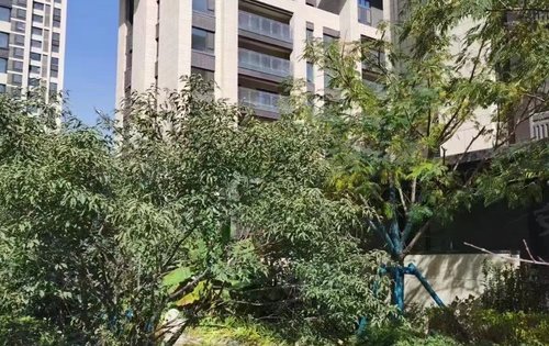 白桦林溪动态:7层花园洋房147-260平米欢迎来实体房参观-西安安居客
