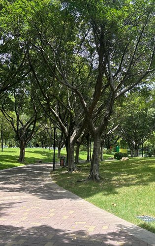 项目走路就能到达庄头公园,下班周末带孩子的好胜地-广州安居客