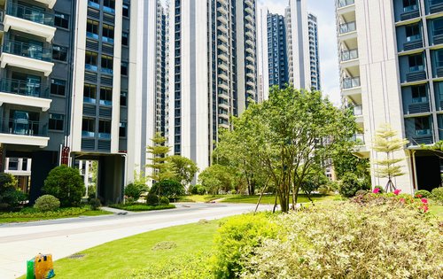 阳光下的隆生鹿江花园,美美的!