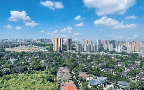 常青藤湖上初晴动态:别墅视野展示-重庆安居客