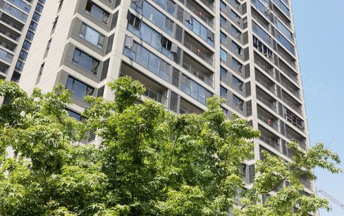 地建嘉信·臻华府动态:天气很好,来看采光吧-汉中安居客