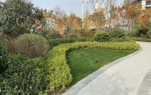 小区绿化景观