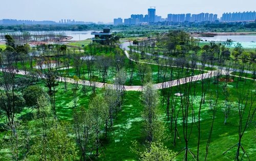 大泽湖近自然湿地公园初现雏形一大波美图先带你逛一圈