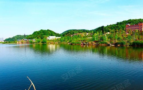 长沙润府动态:西湖公园,春天美景的让人心旷神怡!-长沙安居客