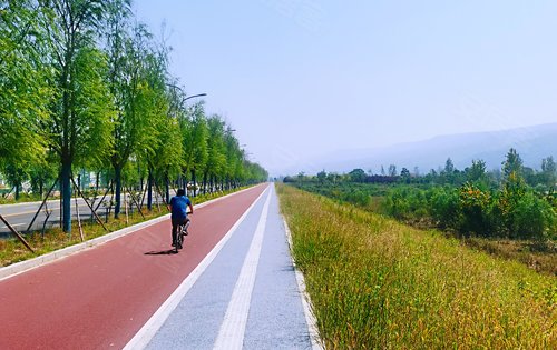 万科四季花城门口的灞河大道,风景美如画