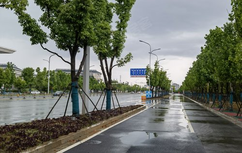 暴雨後的黃家湖大道清清爽爽