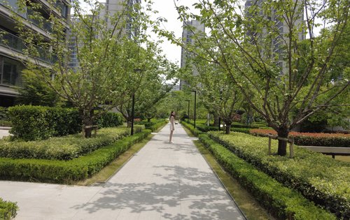 华侨城龙湖·启元动态:小区园林绿化景观-苏州安居客
