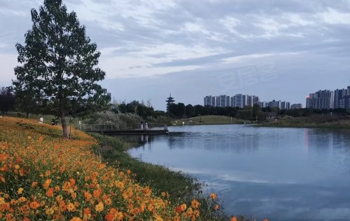 湖南长沙洋湖湿地公园图片