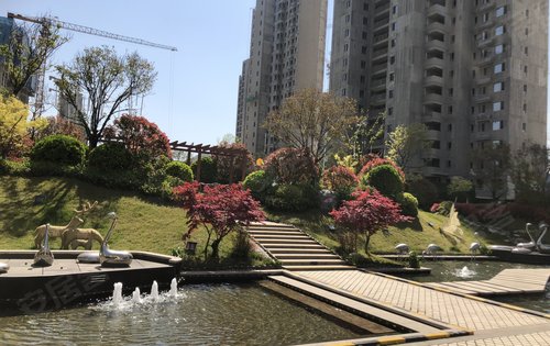 日照楼盘 岚山区楼盘 岚山楼盘 碧桂园·翡翠桃源 楼盘动态