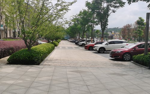 售楼部停车场每天来看房的客户一直不断,进门找我有惊喜